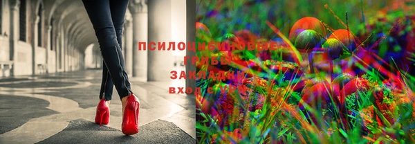 ешки Касимов